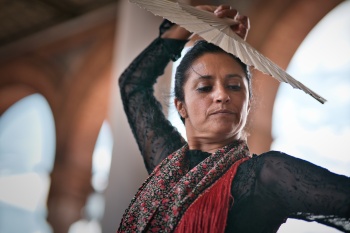 Passion in Motion: A Flamenco Dance in Seville